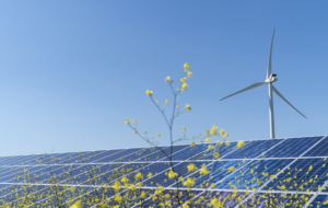 EDP RENEWABLES EN FRANCE