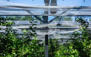 SUN’AGRI