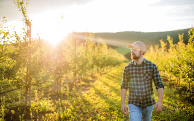 Sun’Agri au cœur de l’adaptation de l’agriculture au changement climatique